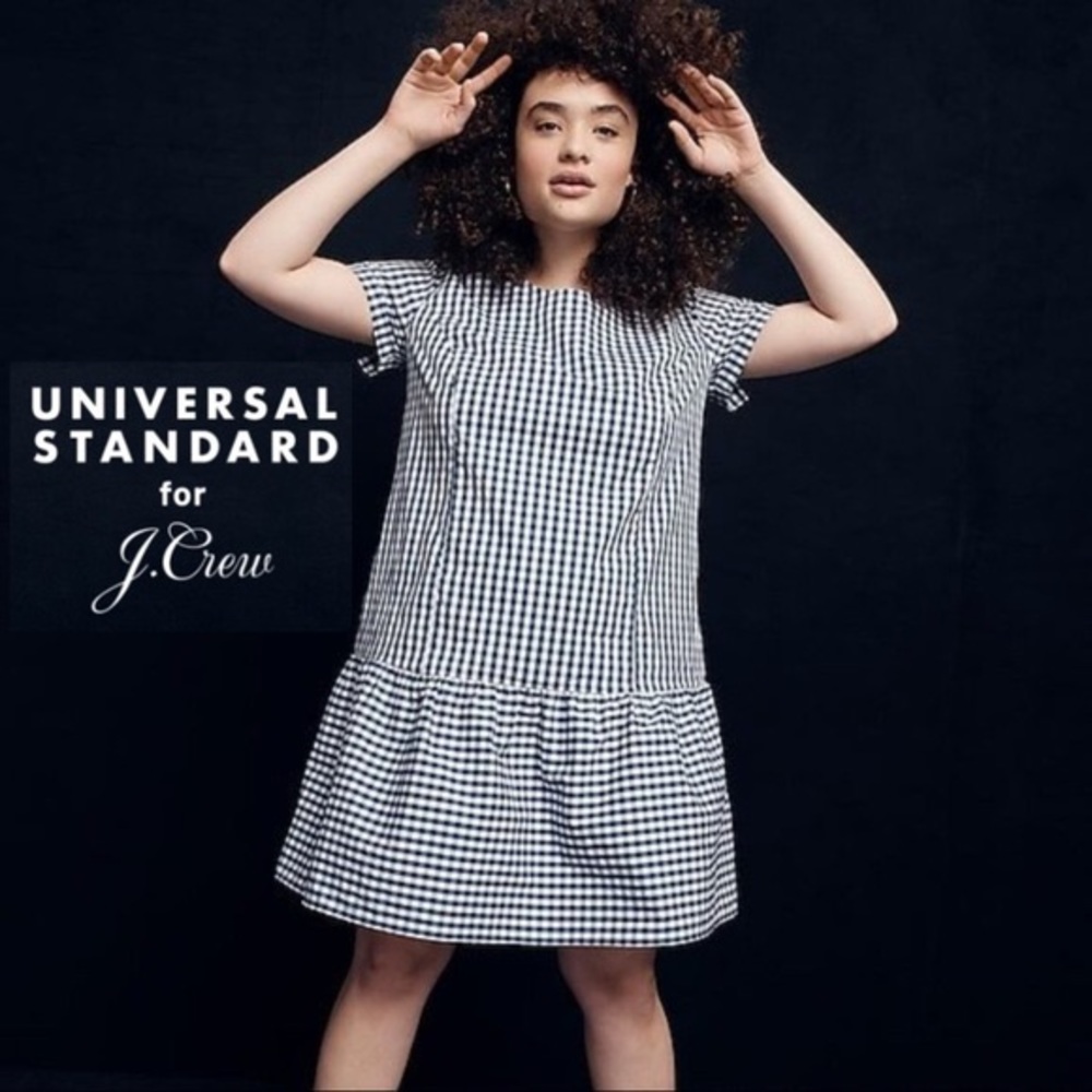J Crew Blue Gingham Dress